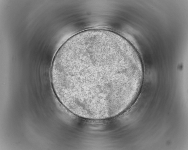 X0000089971338200707271914