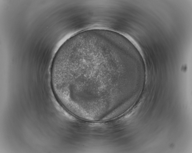 X0000089971341200707271914