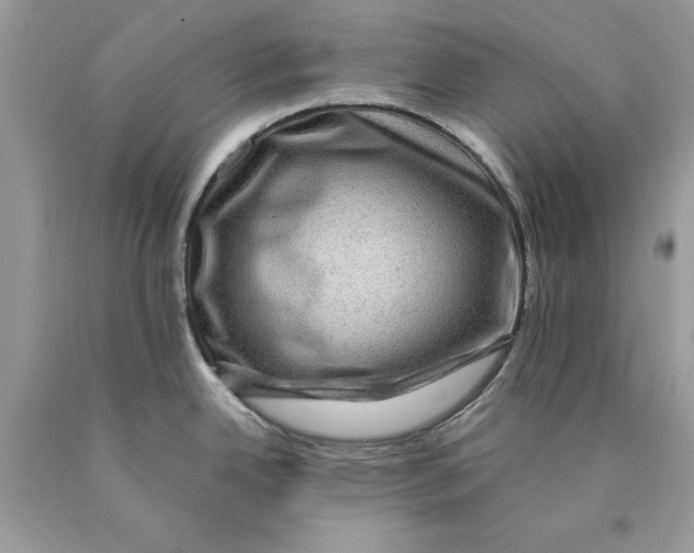 X0000089971342200707271914