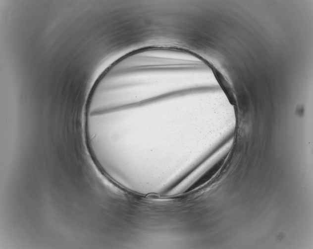 X0000089971343200707271914