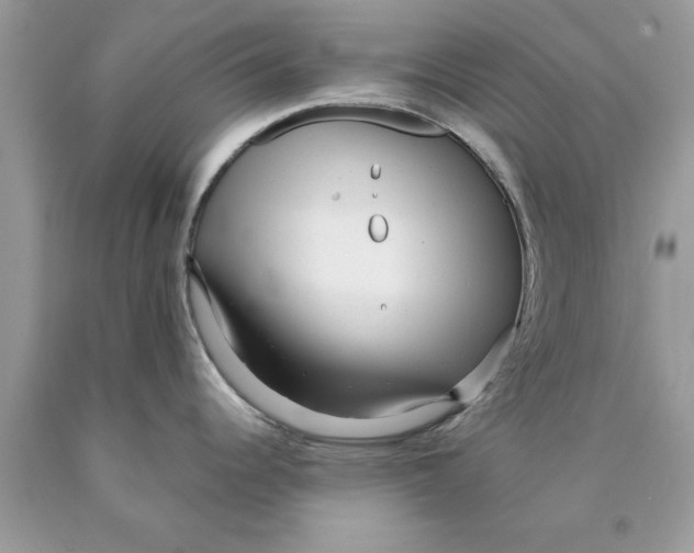 X0000089971344200707271914