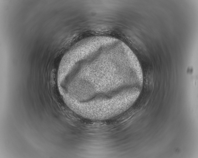 X0000089971346200707271913