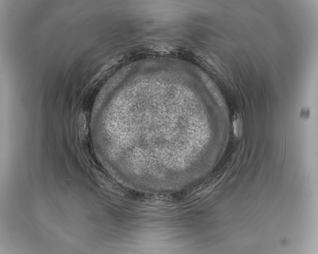 X0000089971347200707271913