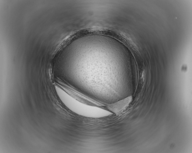 X0000089971348200707271913