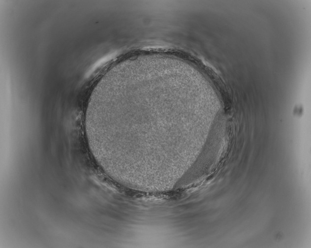 X0000089971351200707271913