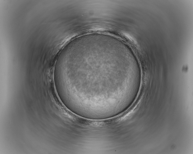 X0000089971353200707271913