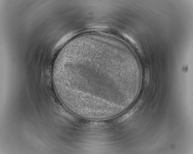 X0000089971354200707271913