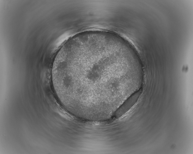 X0000089971355200707271913