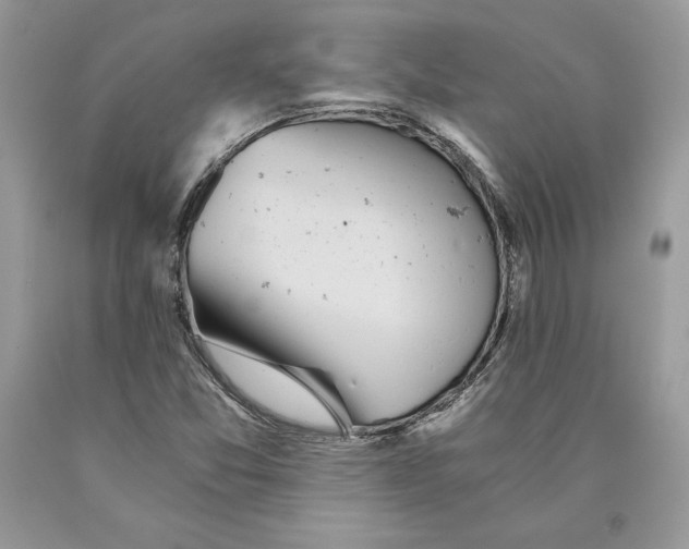 X0000089971357200707271913