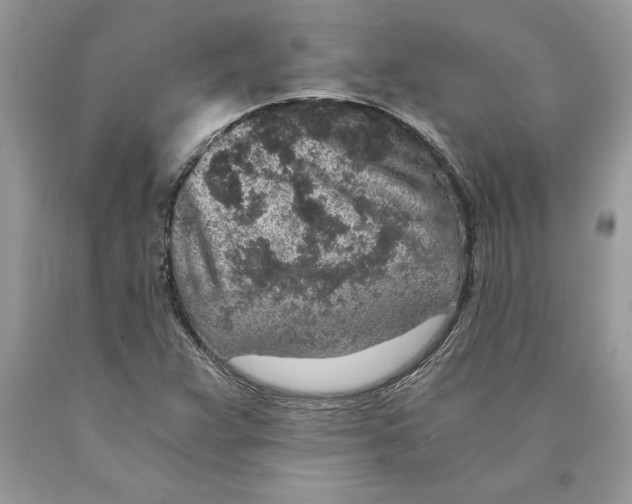 X0000089971359200707271913