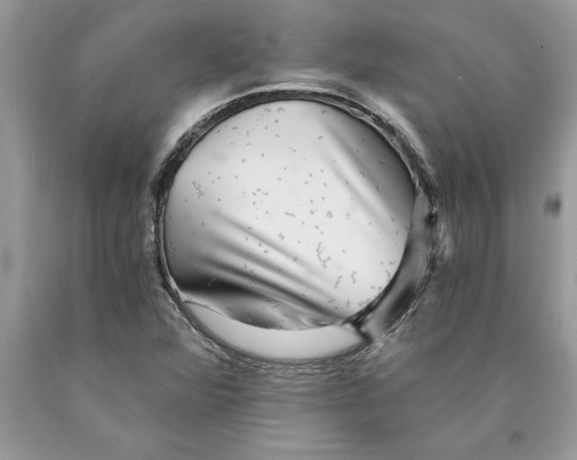 X0000089971360200707271913