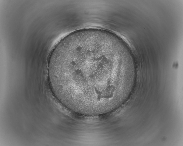 X0000089971363200707271913