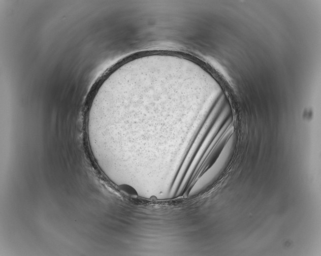 X0000089971364200707271913