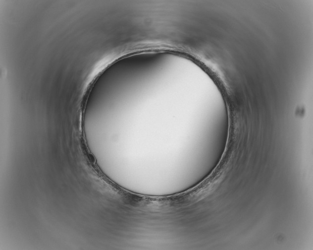 X0000089971365200707271913