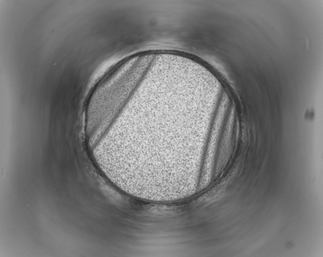 X0000089971366200707271913