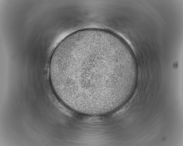 X0000089971367200707271913