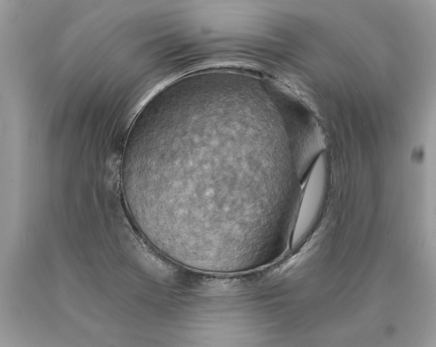 X0000089971369200707271913