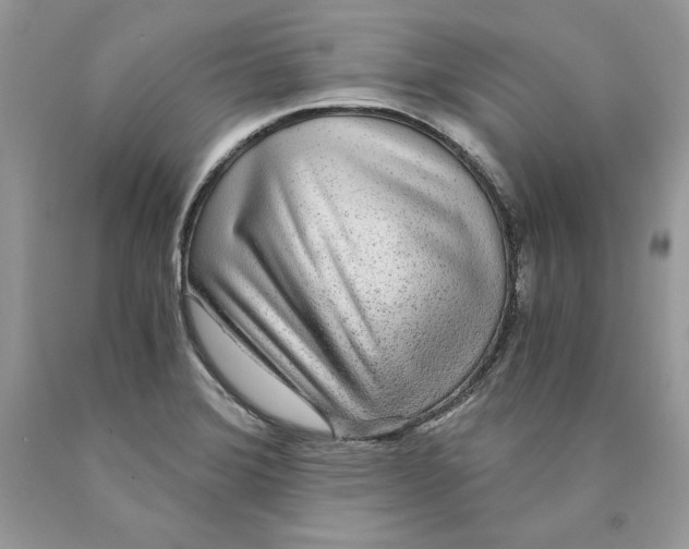 X0000089971372200707271913