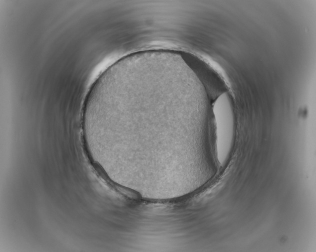 X0000089971373200707271913