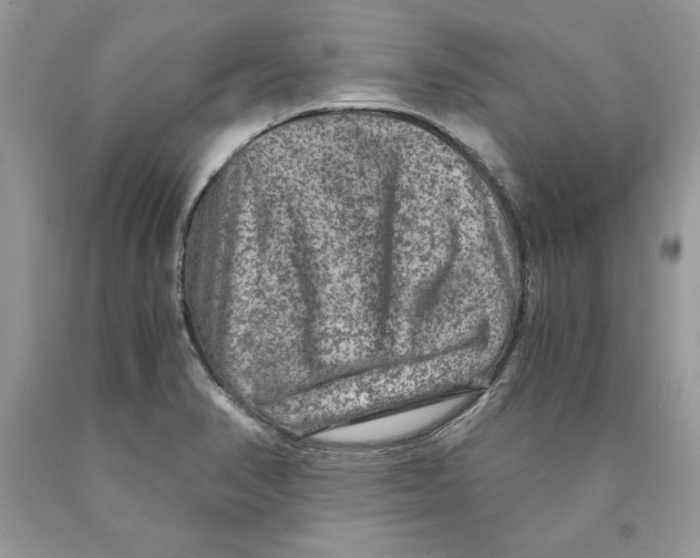 X0000089971374200707271913