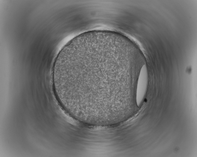 X0000089971375200707271913