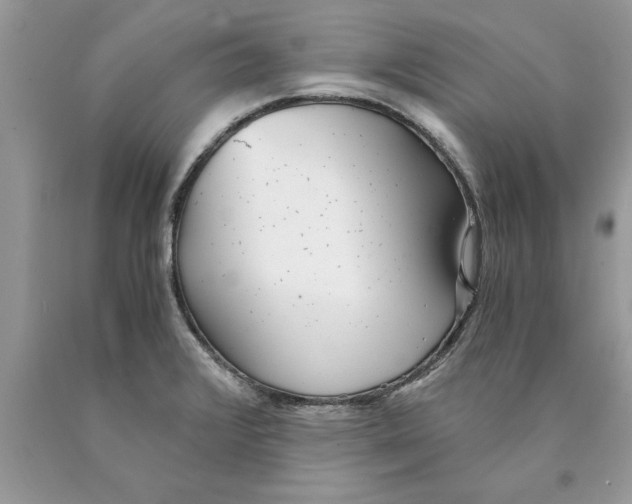 X0000089971376200707271913