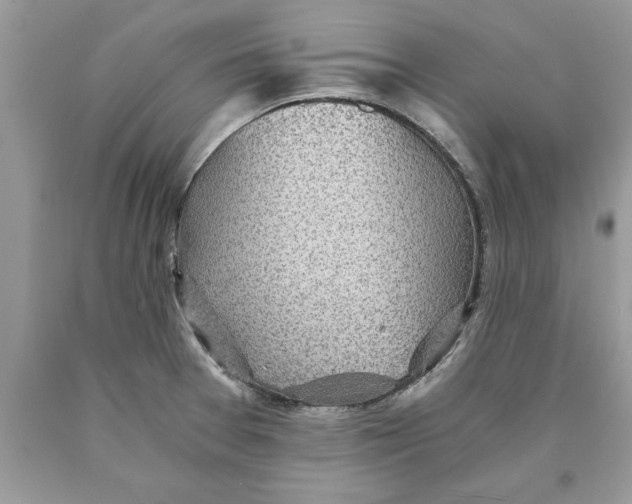 X0000089971377200707271913