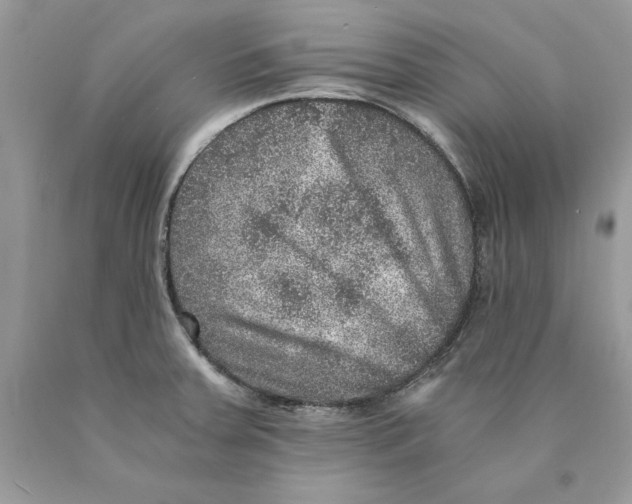 X0000089971379200707271913