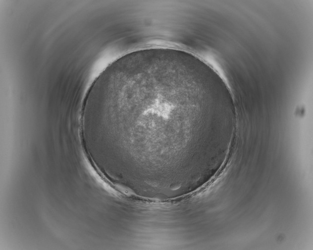 X0000089971381200707271913