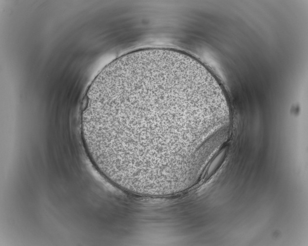 X0000089971382200707271913