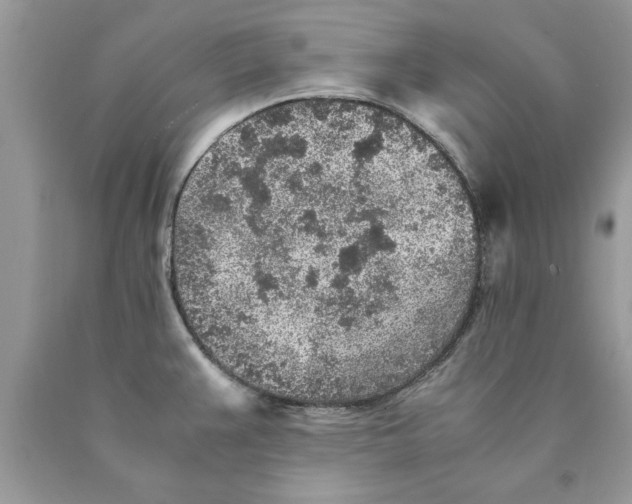 X0000089971383200707271913