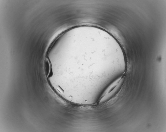 X0000089971384200707271913