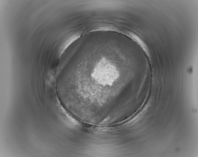 X0000089971385200707271912