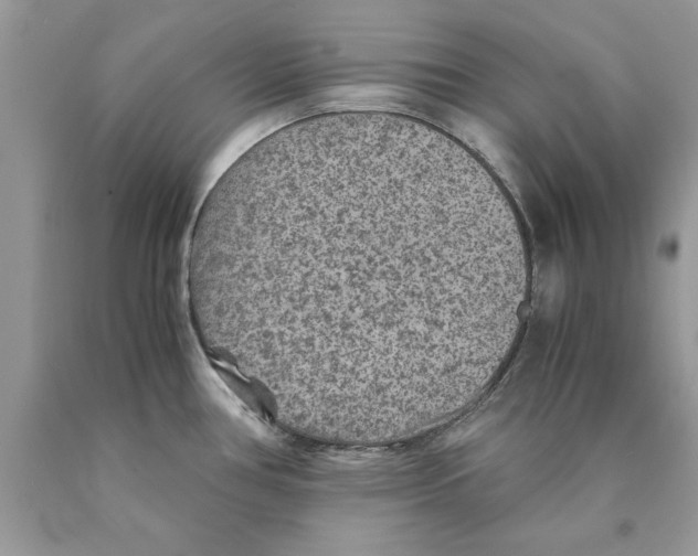 X0000089971386200707271912