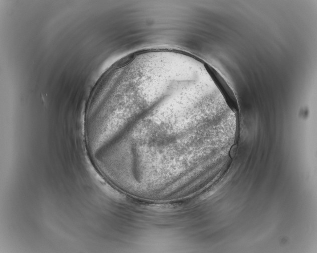 X0000089971388200707271912