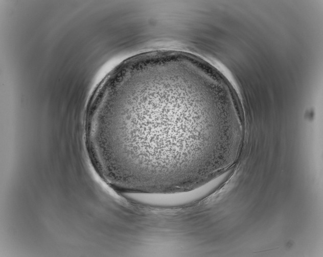 X0000089971389200707271912