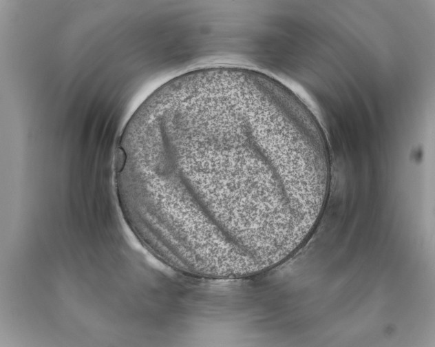 X0000089971390200707271912