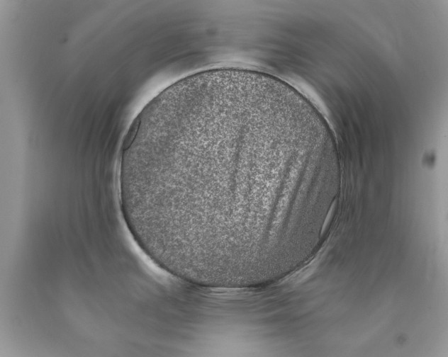 X0000089971391200707271912