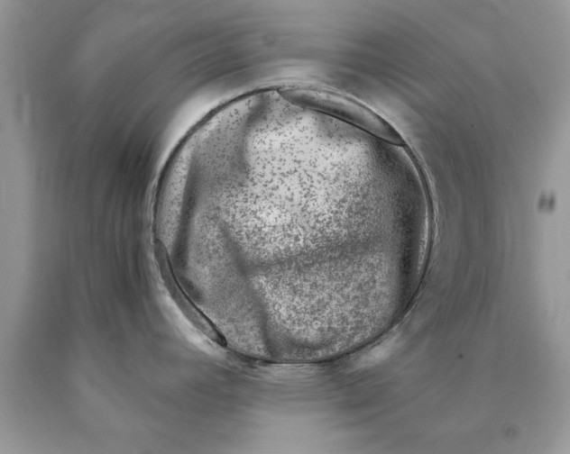 X0000089971392200707271912