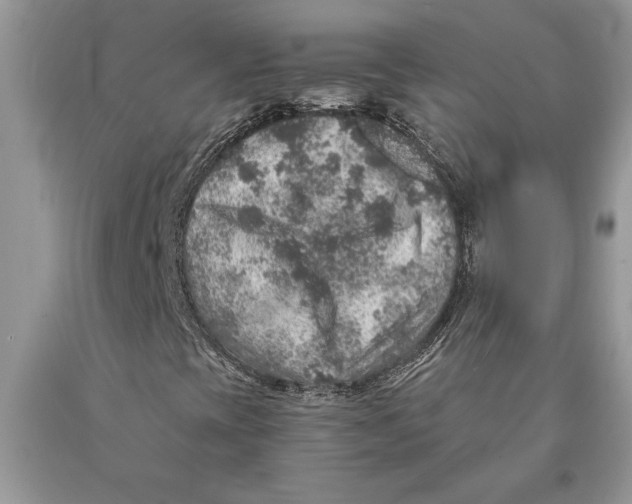 X0000089971393200707271912