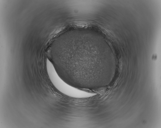 X0000089971394200707271912