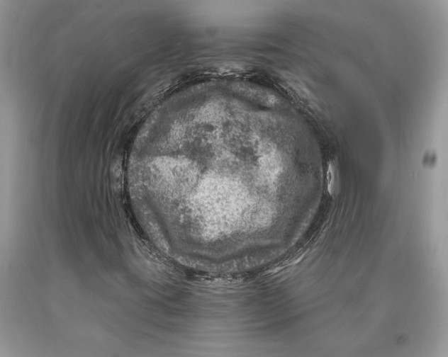 X0000089971395200707271912