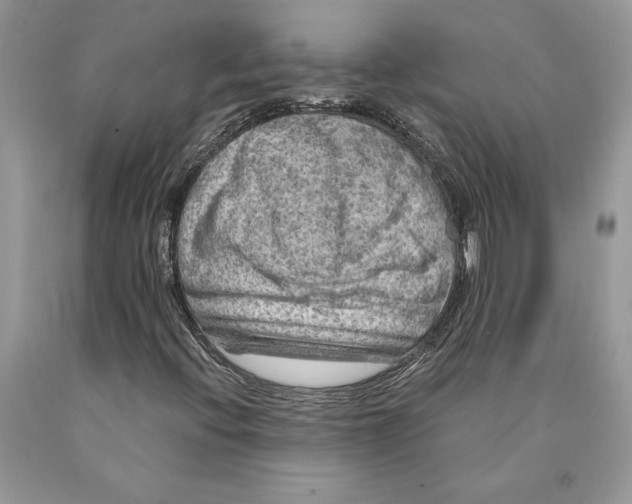 X0000089971396200707271912