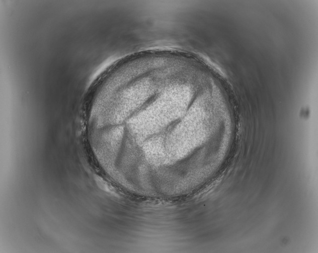 X0000089971400200707271912