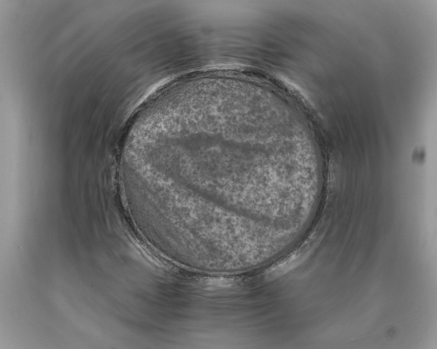 X0000089971401200707271912