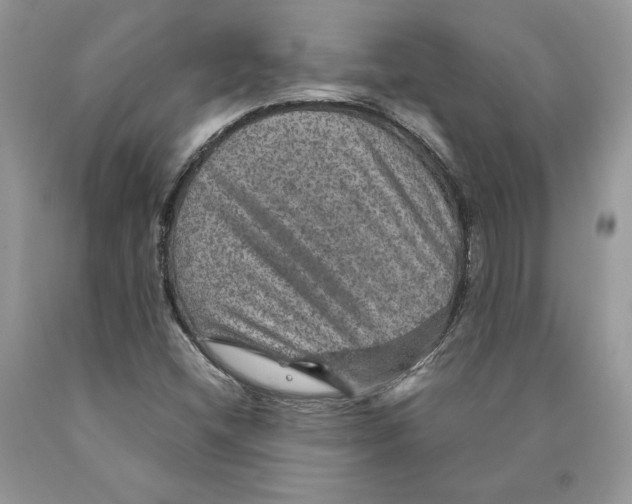 X0000089971404200707271912