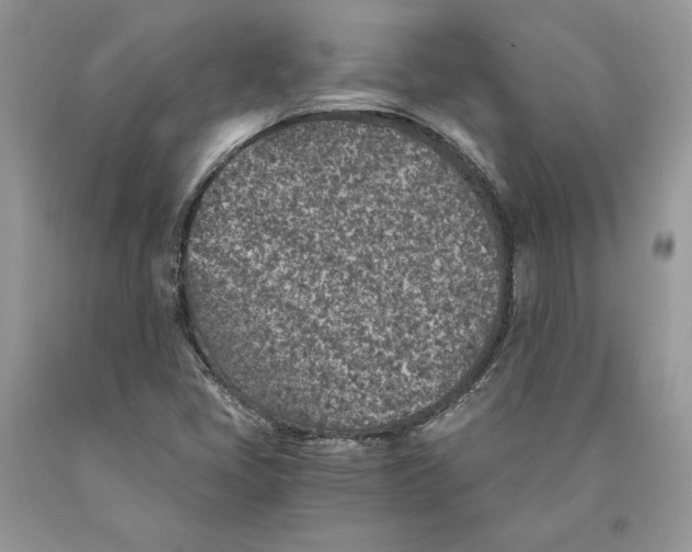 X0000089971405200707271912