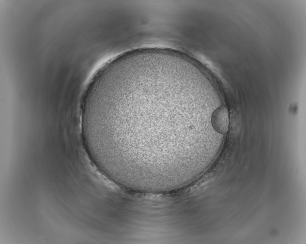 X0000089971408200707271912