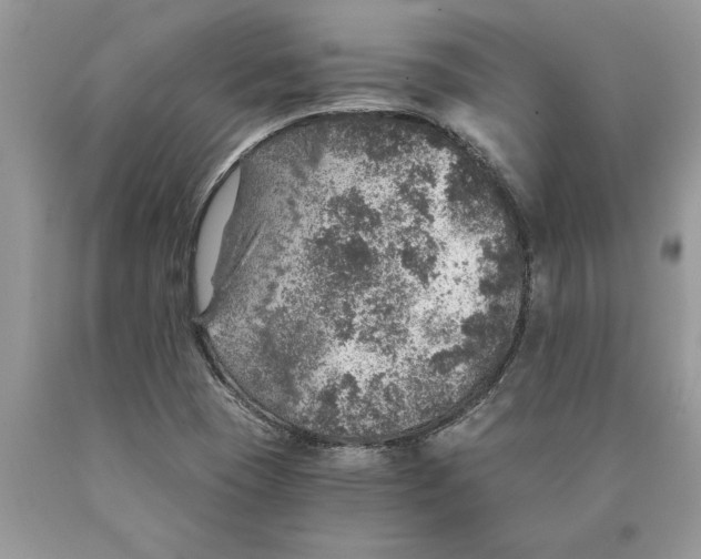 X0000089971409200707271912