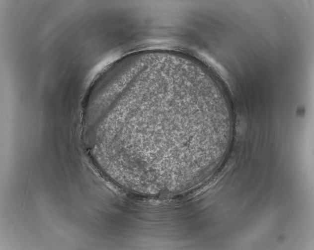 X0000089971411200707271912